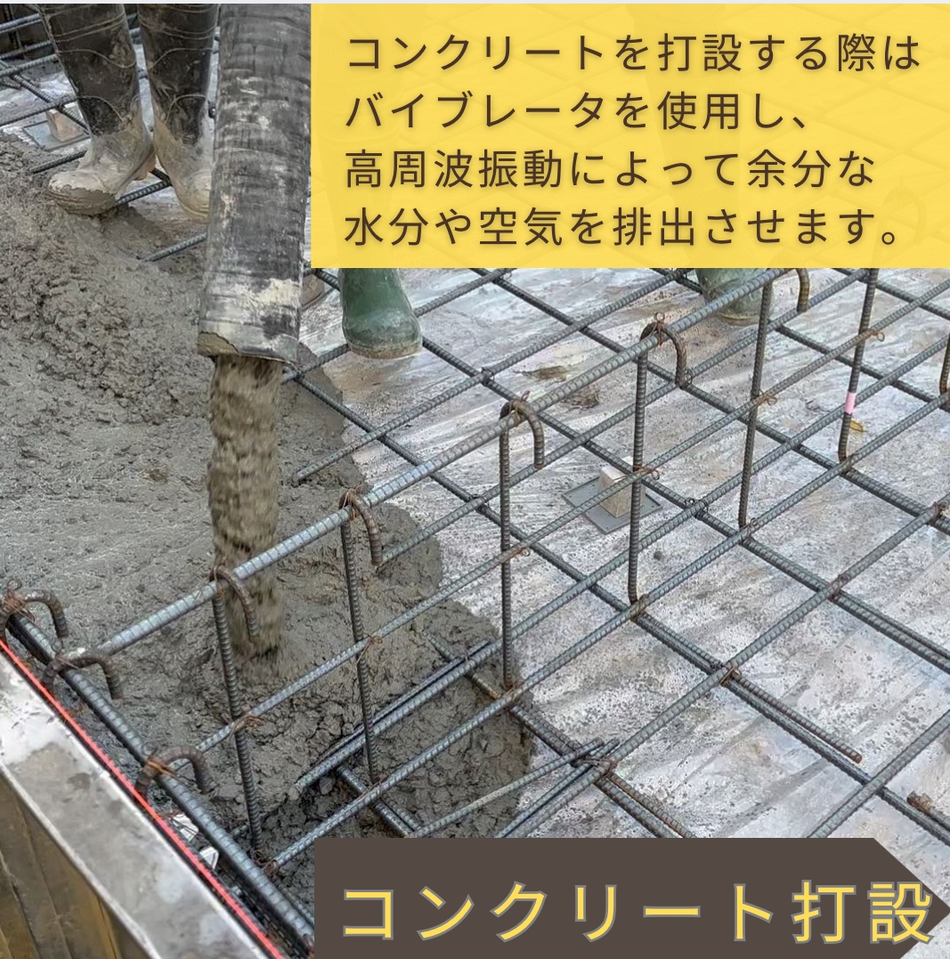 IMG_4887.jpeg