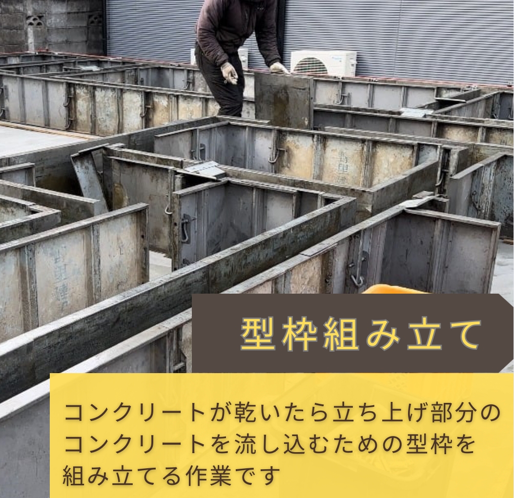 IMG_4890.jpeg